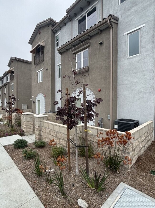Primary Photo - Azusa-Arrow