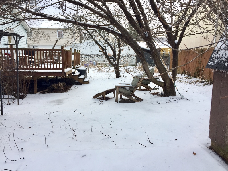 Building Photo - 39 Benson St