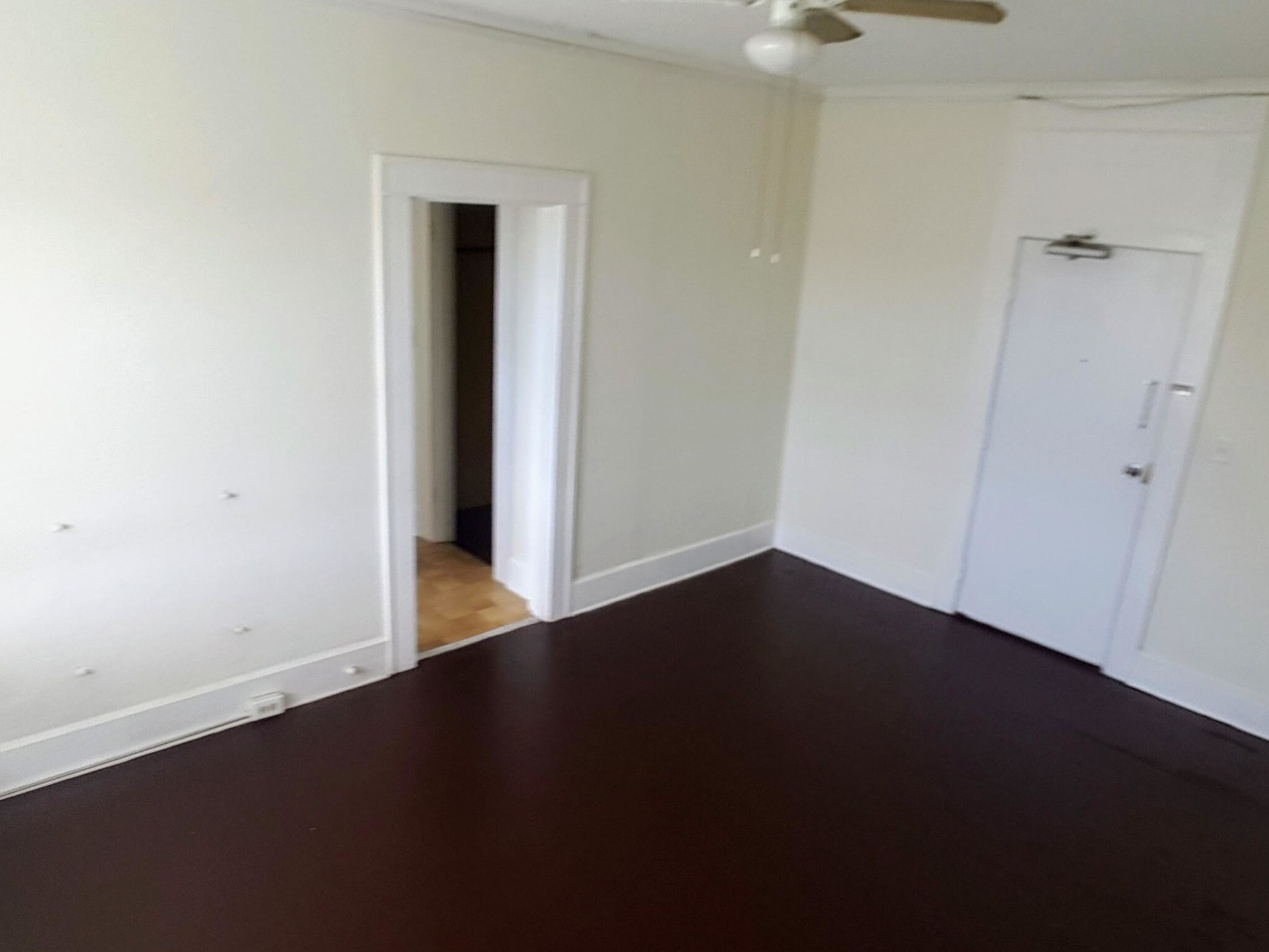 Living/sleeping area - 524 Dr MLK Jr St S