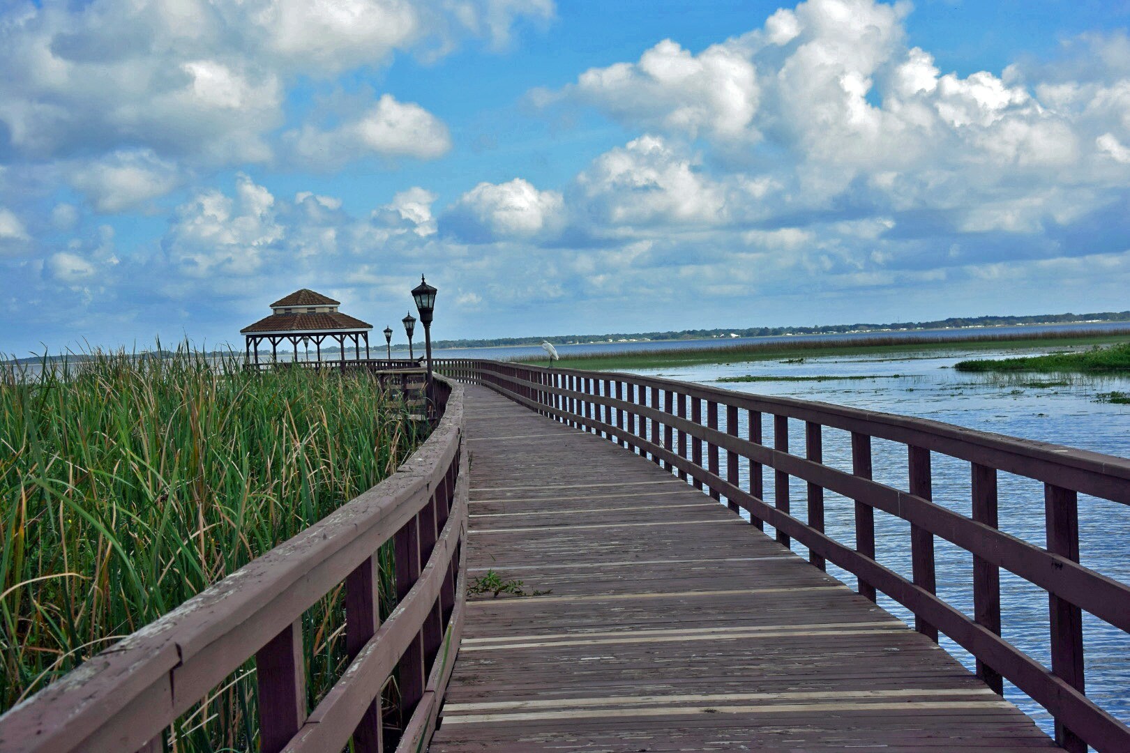 Building Photo - 3624 Landing Net Dr