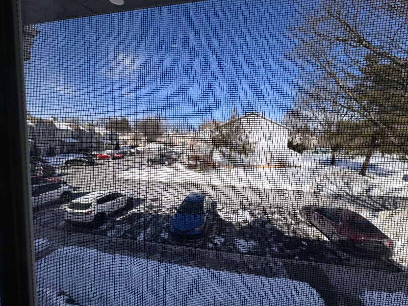 Building Photo - 106 Franklin Ct