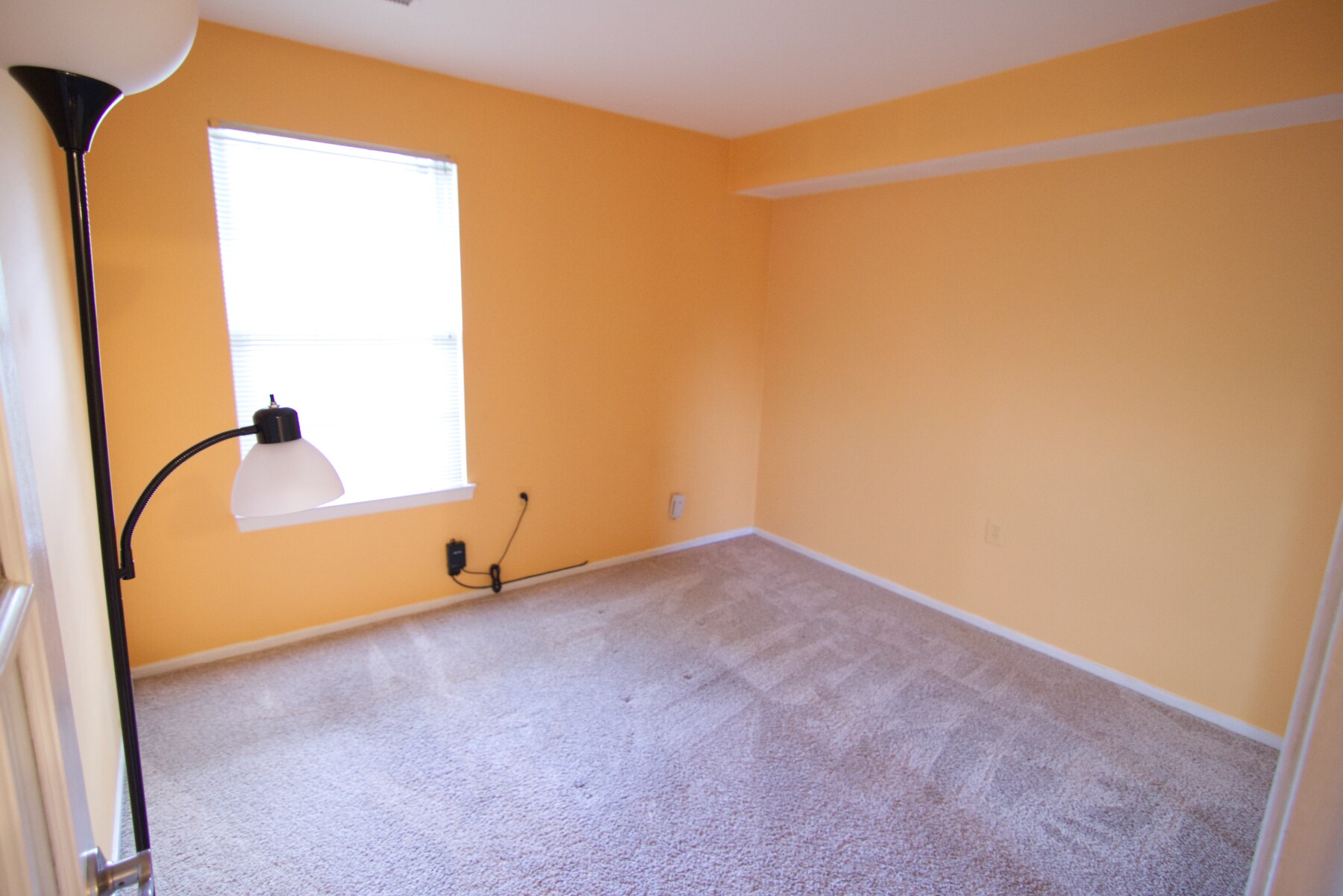 Building Photo - 7718B Lexton Pl
