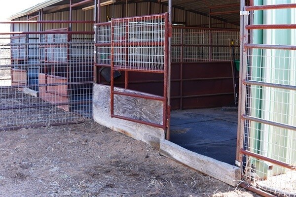 Building Photo - 7265 N Bridle Path