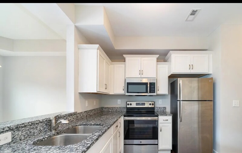 Building Photo - 1135 Somerset Springs Dr