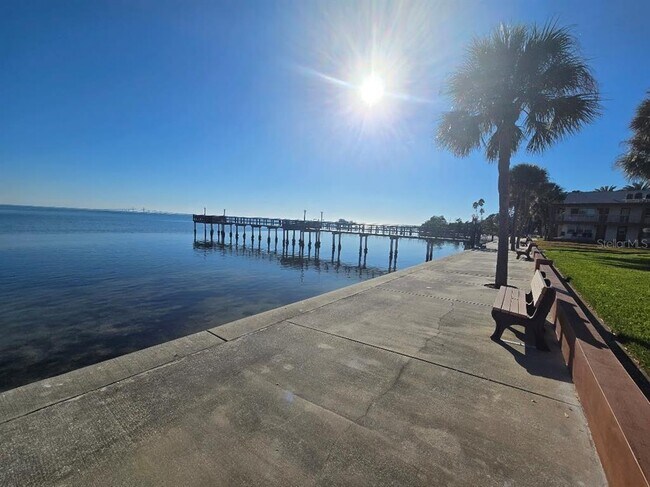 Building Photo - 650 Pinellas Point Dr S