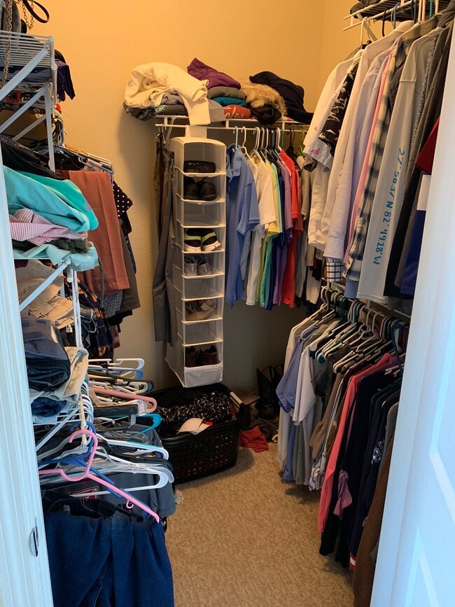 Building Photo - 5000 Culbreath Key Way