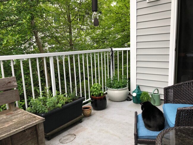 Building Photo - 16255 SW Audubon St