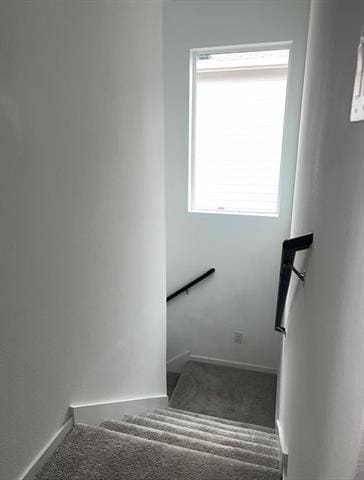 Building Photo - 12132 Thoroughbred Dr