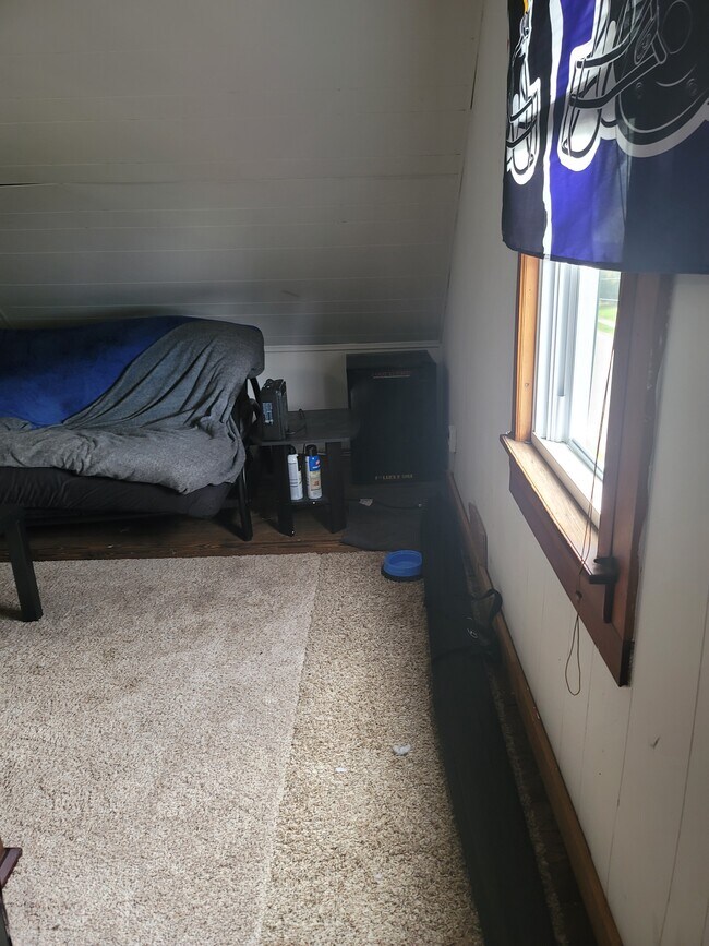 Attic - 81 Hodge Ave