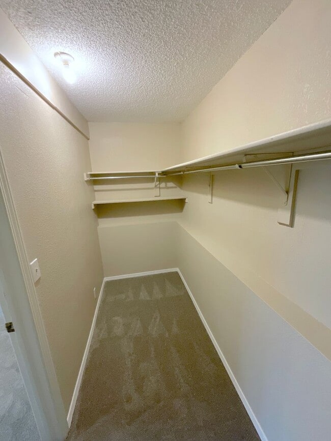 Building Photo - 8214 Steadman Dr