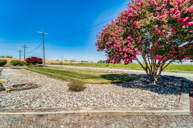 Building Photo - Beautiful 3 Bed / 2 Bath  on 1.8 Acres Ple...