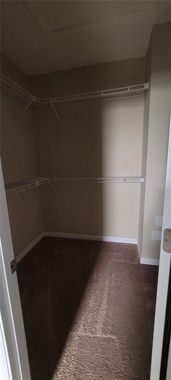 Building Photo - 817 Ashentree Dr