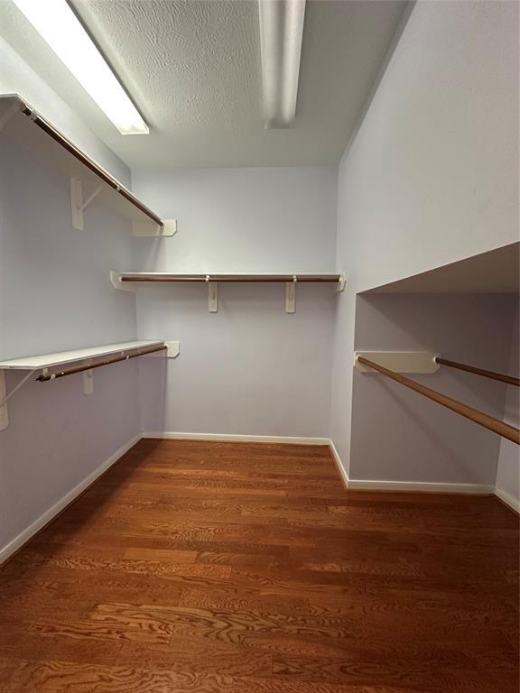 Building Photo - 12109 Flamingo Lakes Ct