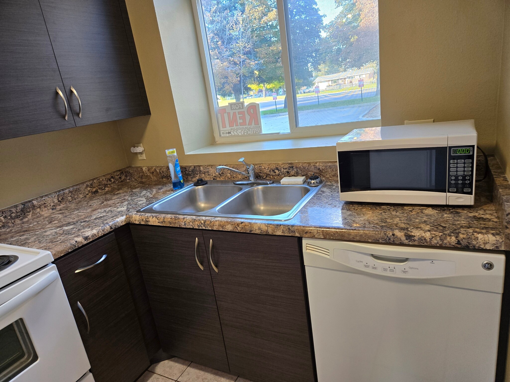 Kitchen front window - 4207 W Bampton Ln