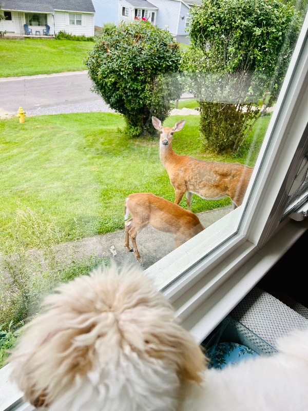 Building Photo - 104 Wabash Ave