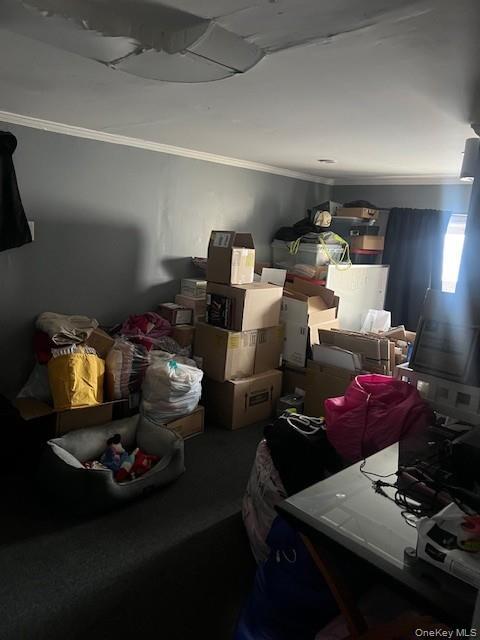 Building Photo - 66 Lee Ave