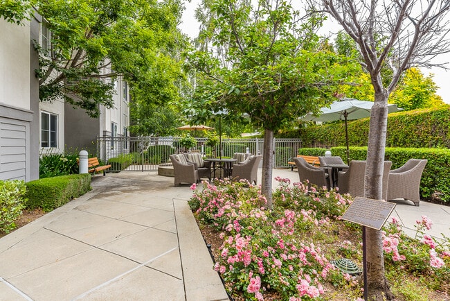 Building Photo - Alvarado Senior Living