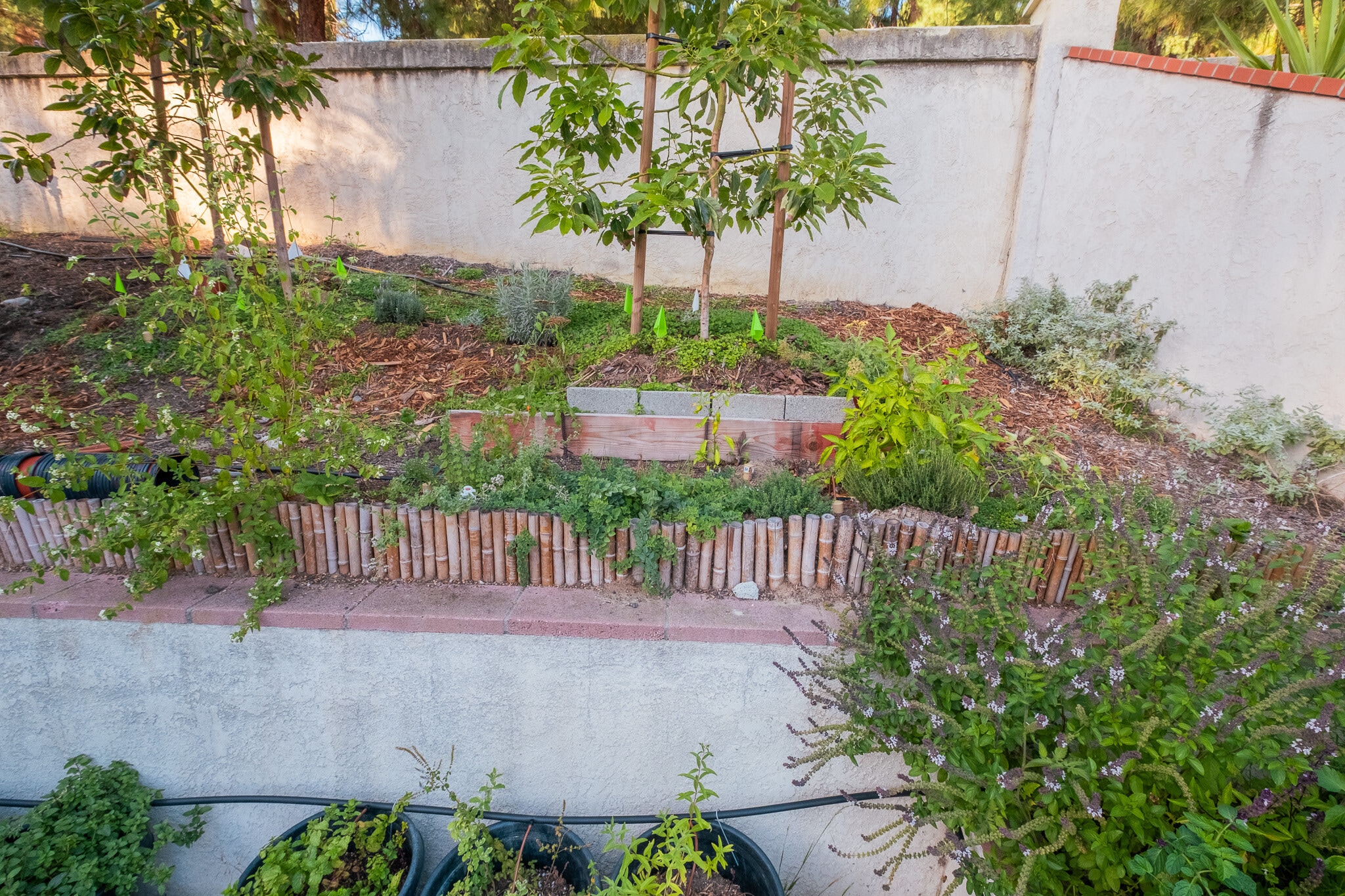 Building Photo - 670 Alagria Pl