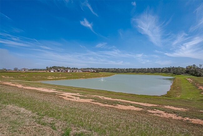 Building Photo - 16464 Blossom Grv Dr