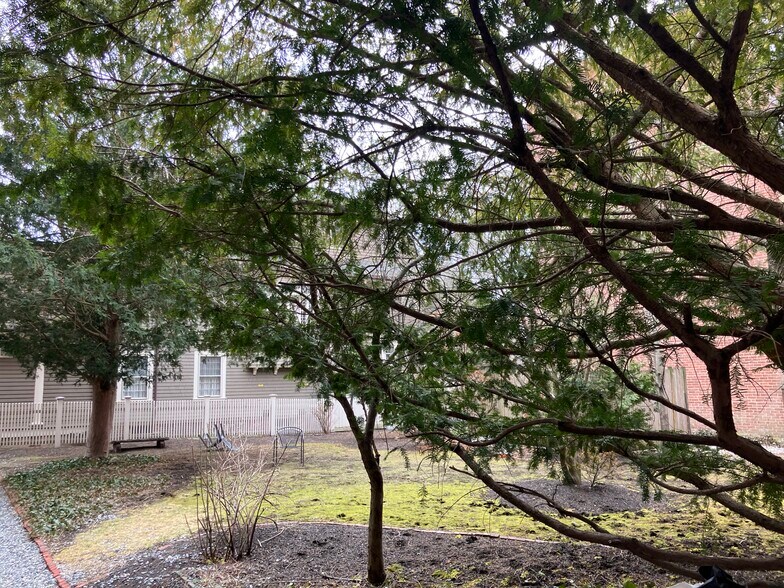 Building Photo - 16 Chauncy St