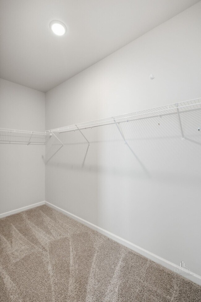 Building Photo - 3707 Clementine Ln