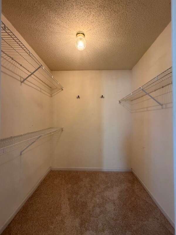 Building Photo - 229 Stonewood Dr