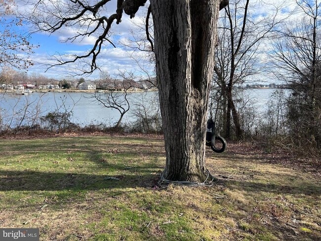 Building Photo - 1 Punte Ln