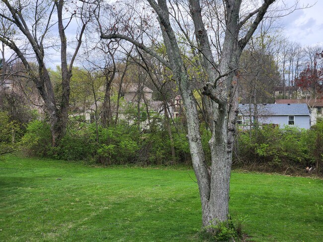 back yard - 8446 Clough Pike