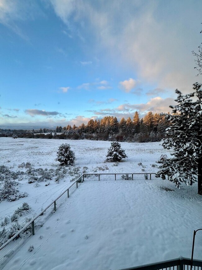 Building Photo - HUGE Custom-Designed Dream Home bordering Indian Meadows Preserve!