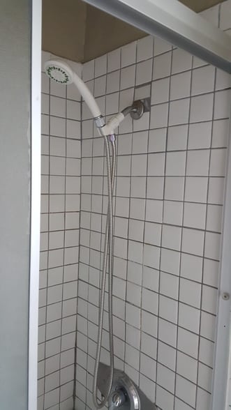 Shower - 3319 Livonia Ave
