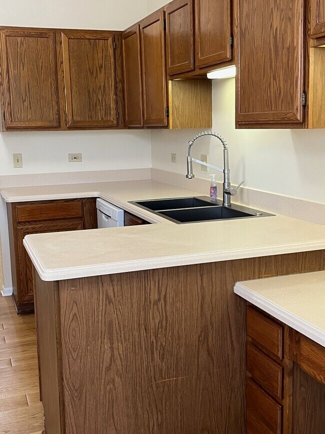 KITCHEN - NEW SINK & FAUCET - 1282 N Streamwood Ln
