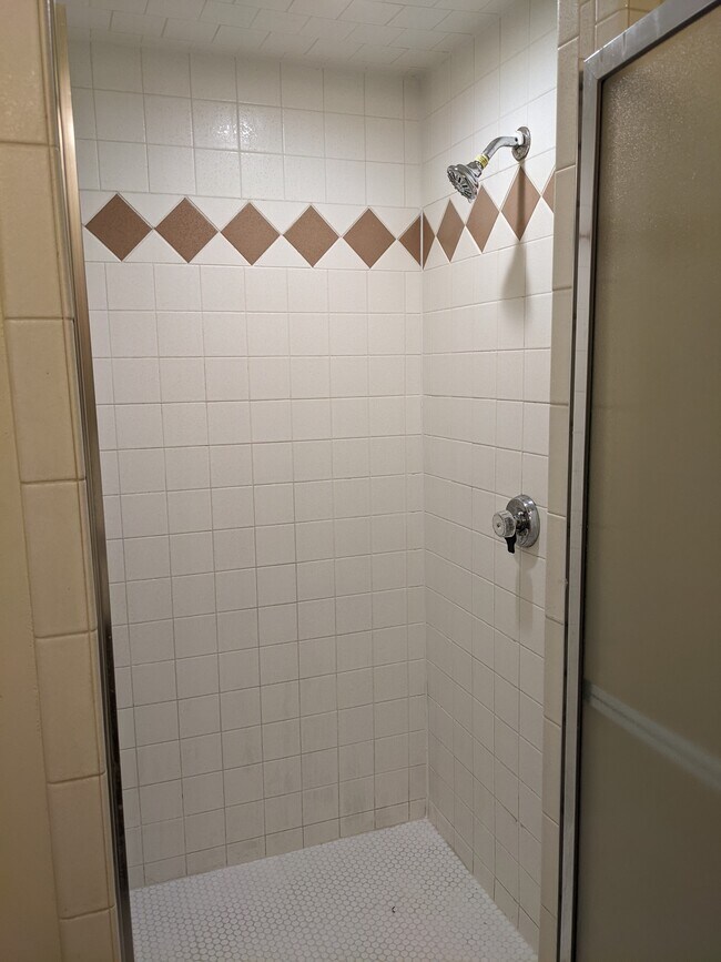 Master bath with shower - 1618 Julie Plz