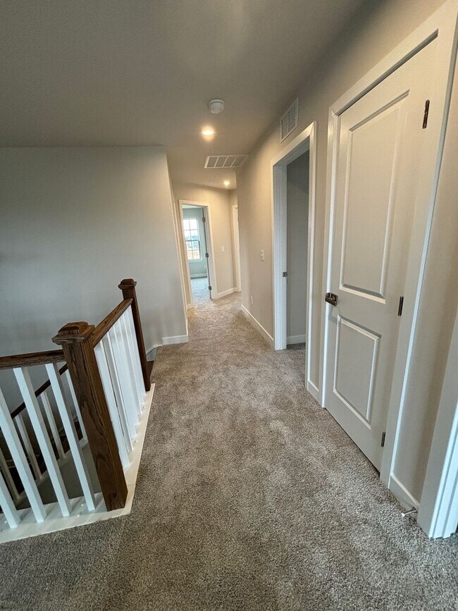 Building Photo - Luxury- New Construction