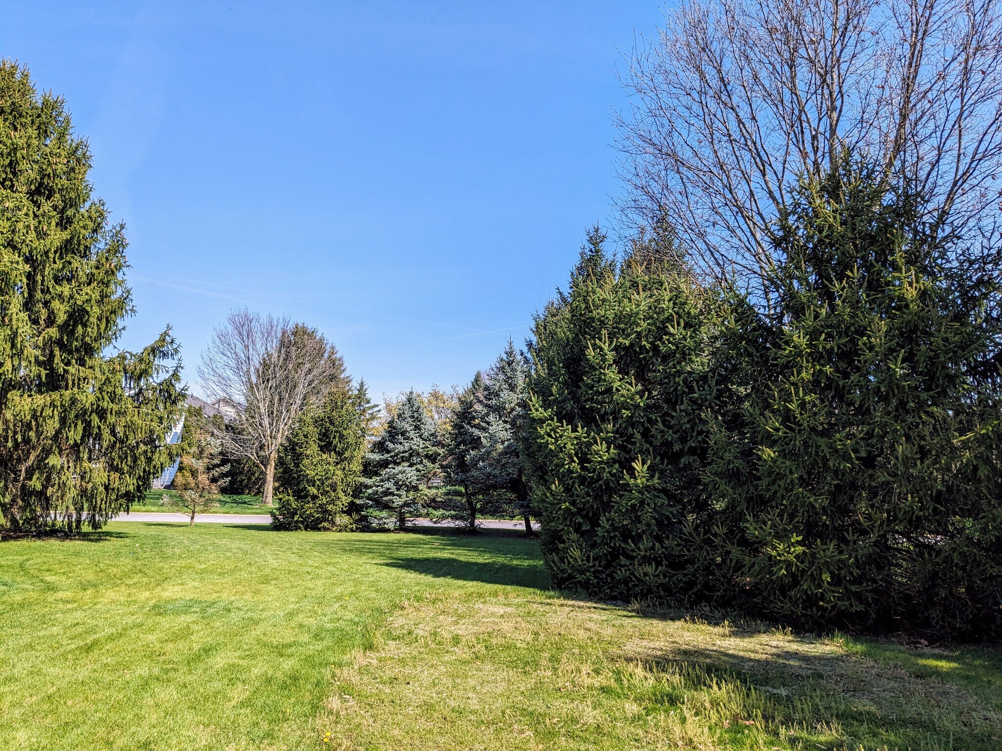 Backyard looking out - 9503 Wayne Brown Dr