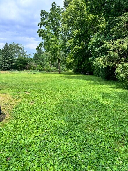 Back Yard/Lawn - 180 Martin St