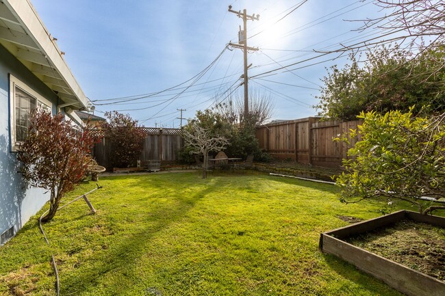 Building Photo - Beautiful & bright 3 bed / 2 Bath San Brun...