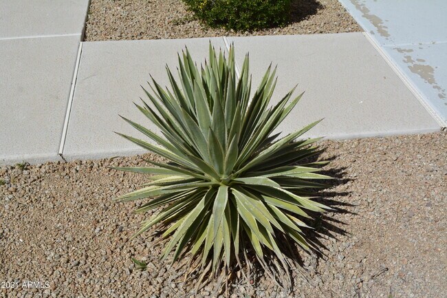 Building Photo - 7637 E Calle De Las Brisas