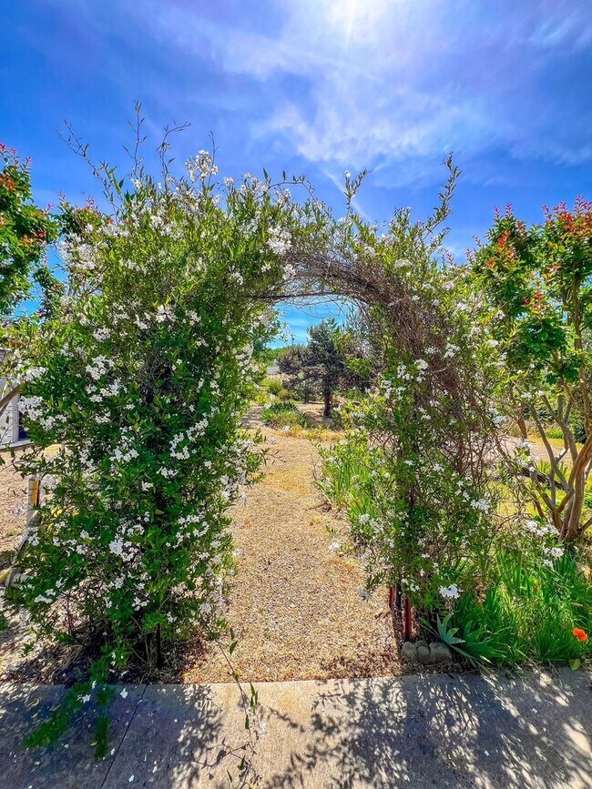 Building Photo - Charming Two Bedroom Country House with Vi...
