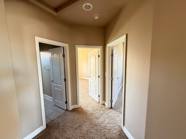 Building Photo - 2212 Maloney Dr