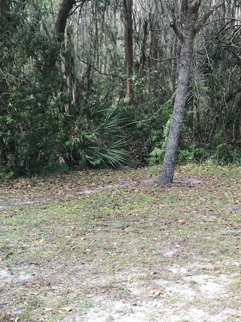 Building Photo - 1135 Baronscourt Dr