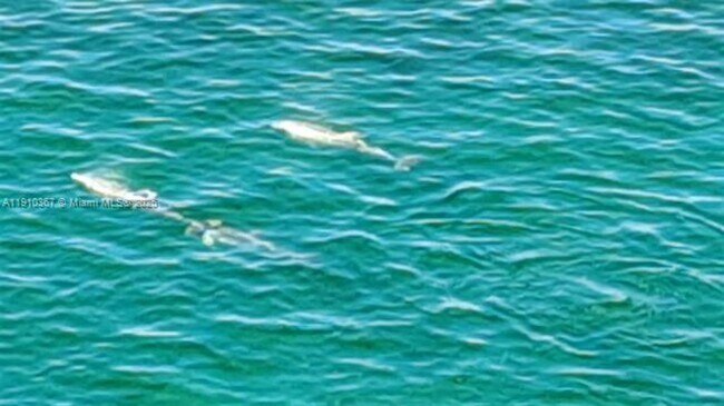 Building Photo - 1625 Kennedy Cswy