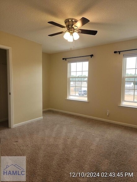 Building Photo - 73 Labrador Ln