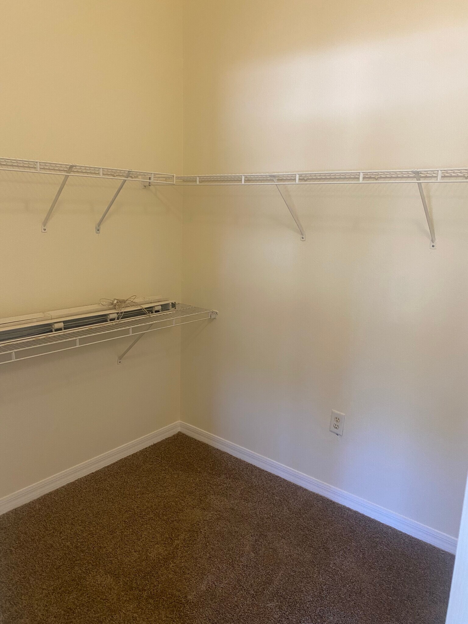 Building Photo - 1508 Blue Magnolia Rd