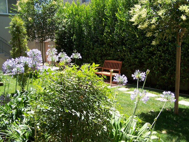 Courtyard Sitting Area - 15032 Moorpark St