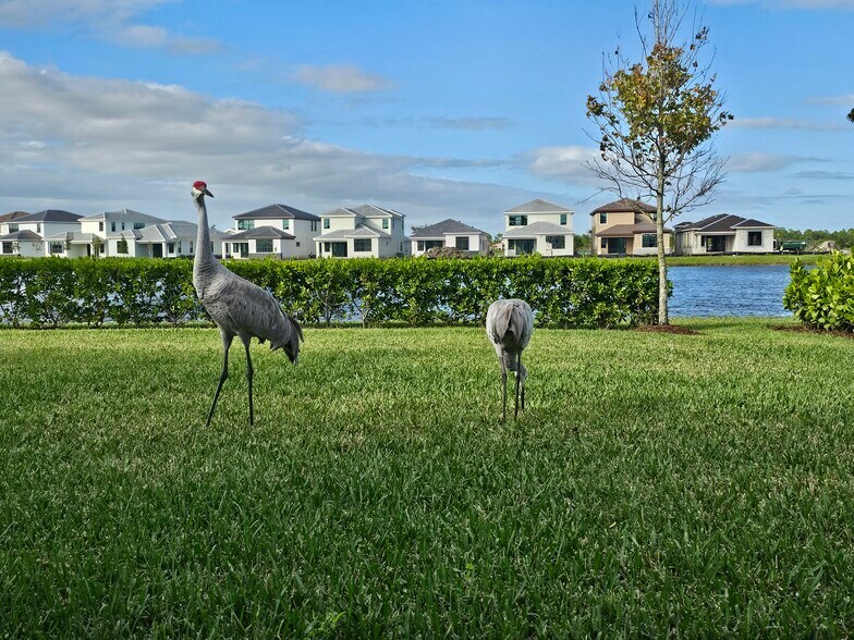 Building Photo - 537 SE Fascino Cir