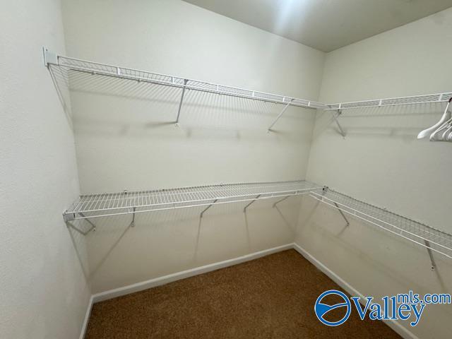 Building Photo - 146 Forestbrook Dr