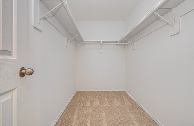 Building Photo - 743 Hallsleigh Ln