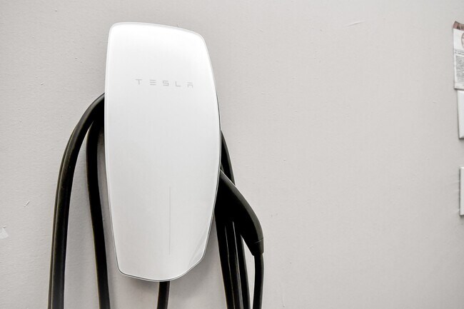 Building Photo - 1105 Olivier Ln