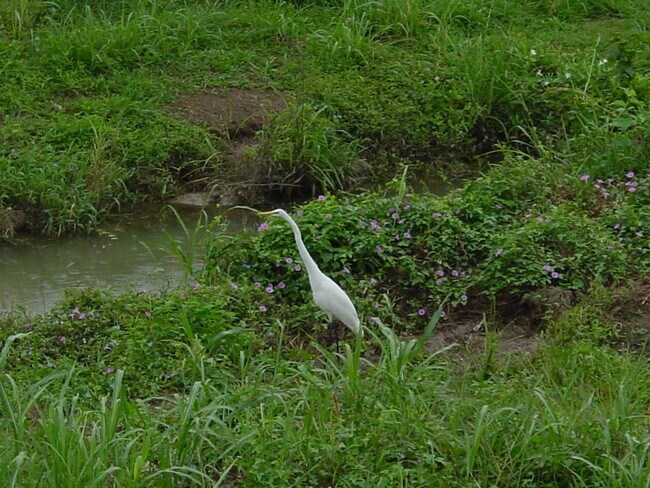 Building Photo - 1422 Chardonnay Dr