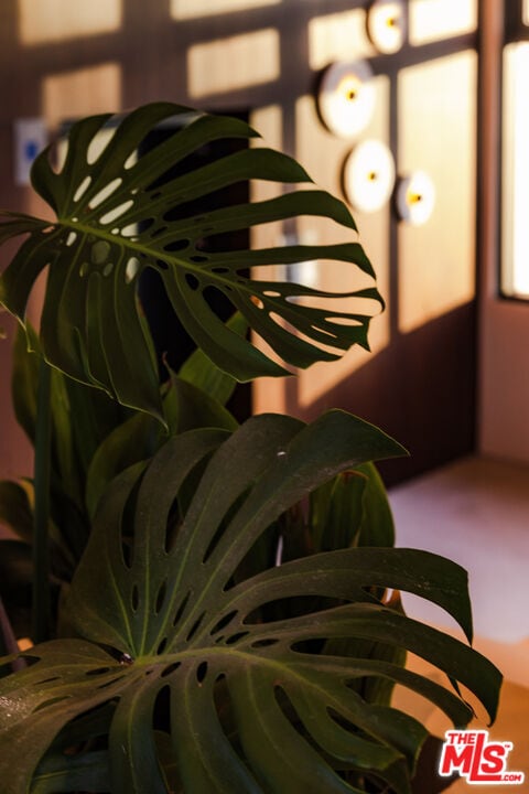 Building Photo - 3004 W Sunset Blvd